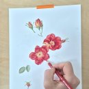 쉼, 색연필 보태니컬 아트 | 더운 여름을 이기는 몰입의 시간/부천화실/보태니컬아트/색연필꽃그림