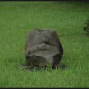 서정1리마을회관 이미지