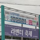 아쉬웠던 아너드투어 고성후기 (하늬라벤더팜 라벤더 개화상황)