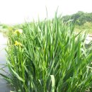 삼일공원 이미지