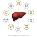 단델리온 이미지