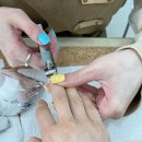 네일바피오레 | 서면네일, 네일바피오레에서 봄맞이 달마시안 젤네일해요