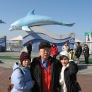 월미도 선착장 이미지