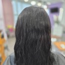 특수헤어엘르리 | 영주미용실 복구매직 맛집 엘르리헤어