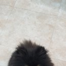 김고은그루밍# 이미지