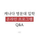 요크리딩 | 캐나다 명문대 입학, 온라인 프로그램에 대한 궁금증 풀어드립니다.