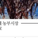 서교시장 이미지