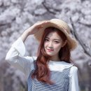 현진유통 Daum카페
