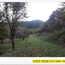 첨산농원 네이버블로그