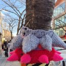 필운대로 이미지