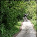 지리산엄천골 | 5월의 지리산 엄천골
