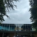 일본 골든위크 도쿄 여행 2일차(해리포터 스튜디오, 돈카츠 마이센, 하라주쿠, 시부야 스크램블 스퀘어)