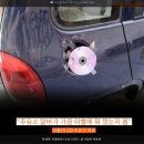 자동차를사랑하는사람 이미지