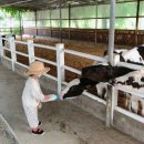 상몽농장 이미지