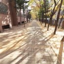 샘물공인중개사사무소 이미지