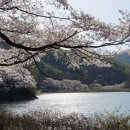 연원마을약국 이미지