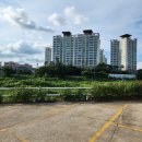 송전매운탕 이미지