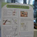 생활꽃꽂이(야간) 이미지