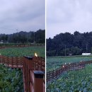 꿈동산공원 이미지