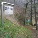 채산 티스토리