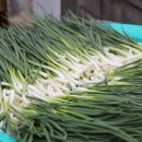 시골식당 이미지