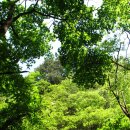 오토캠프 이미지