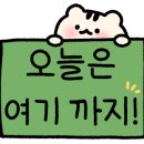HAIR 514 이미지