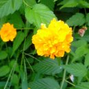 부평공원 이미지