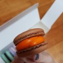클로버. (clover)37 | 마카롱이 맛있는 clover37@안성시 공도