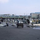 삼척바다엔 이미지