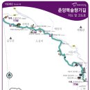 춘양목