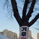 강릉농협강동하나로마트