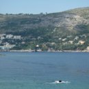 [두브로브니크#2] 크로아티아의 몰디브 로크룸섬 Lokrum Island ! 이미지