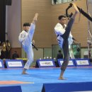 장광재 박사 태권도 이미지