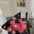 로지필드