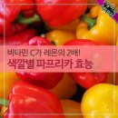 11월4일 뉴스브리핑 이미지