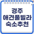 로이스애견풀빌라 | 경주 애견 풀빌라 독채, 대형견도 수영장 가능?
