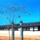 2025 송년 회 이미지