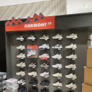 에프에이스포츠 이미지