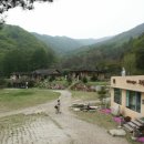 명주사 Daum카페