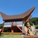 아세안자연휴양림 이미지