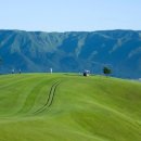 그린힐 앞 이미지