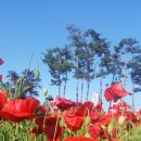 상동공원 이미지