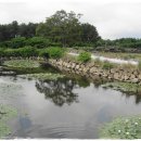 신평리 도요지 이미지