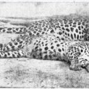 어린이 독서리더 3학년 이미지