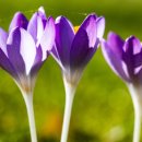 땡큐파워 이미지