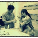 로얄벳 동물병원 이미지