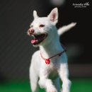 파주힐링몽 이미지