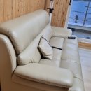 소나무 숲 리조트 이미지