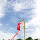 삼오유치원 이미지